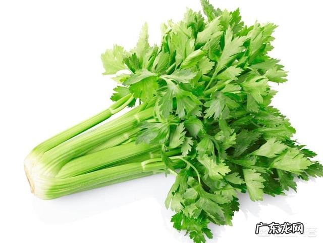 吃什么菜能养肝?