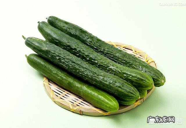 吃什么菜能养肝?