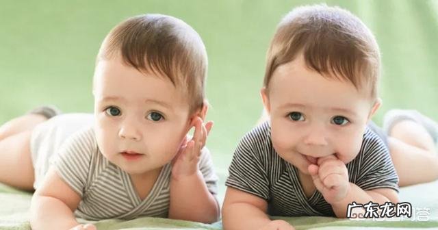 神奇的双胞胎,是如何产生的?