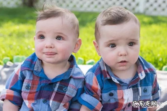 神奇的双胞胎,是如何产生的?