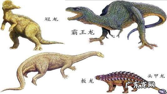 四年级关于恐龙的资料