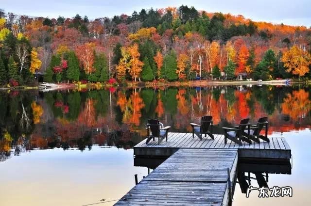 出国办护照需要什么步骤？提前多长时间办理？