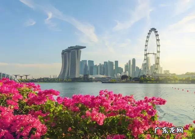 出国办护照需要什么步骤？提前多长时间办理？