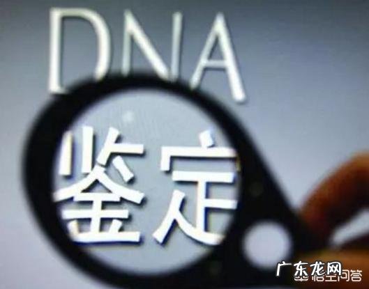 广西柳州一男子因女儿不像自己,做亲子鉴定后显示非亲生,离婚获赔偿11万,这事你怎么看?