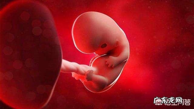 怀孕前三个月应该多注意哪些事情？