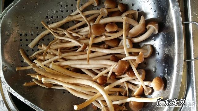 经常吃茶树菇有什么好处?