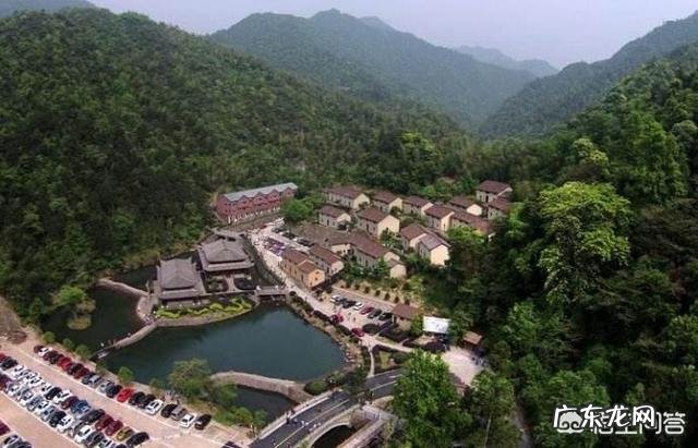 经常吃莲藕有什么好处?