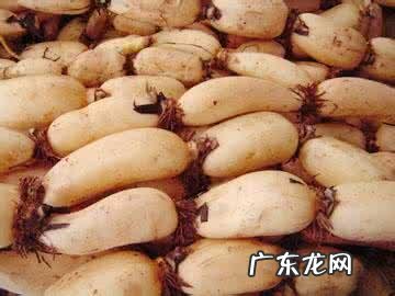 经常吃莲藕有什么好处?