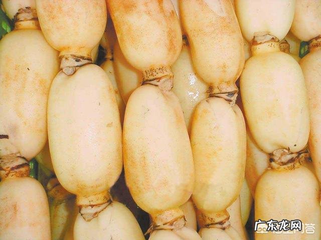 经常吃莲藕有什么好处?