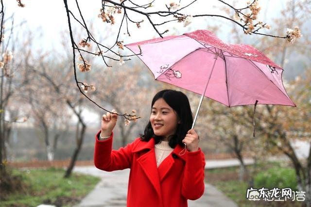 高额彩礼现象,怨人家姑娘吗?