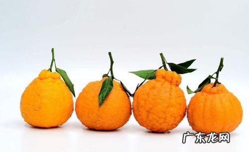 耙耙柑有什么功效