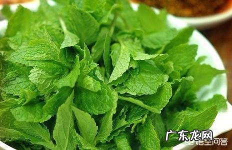 过桥米线的正确做法是什么样的?