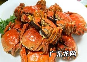 刚怀孕期间不能吃什么?