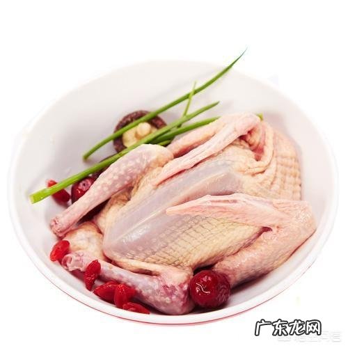 鸽子汤坐月子能不能吃?