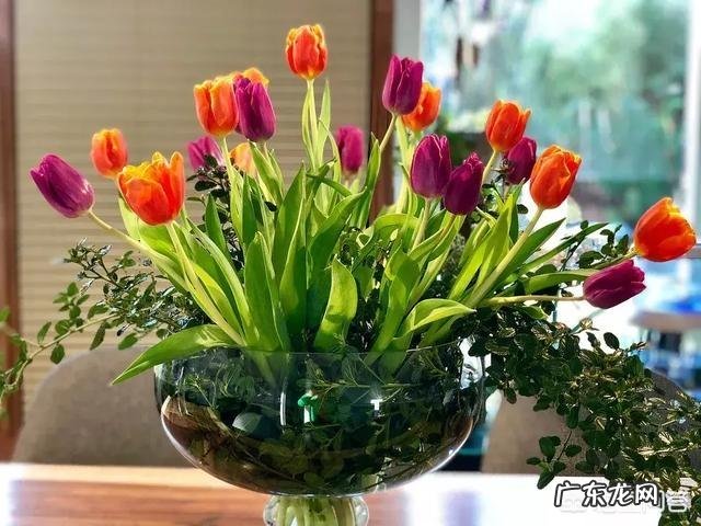 有没有一些关于人生感悟或有哲理的句子?