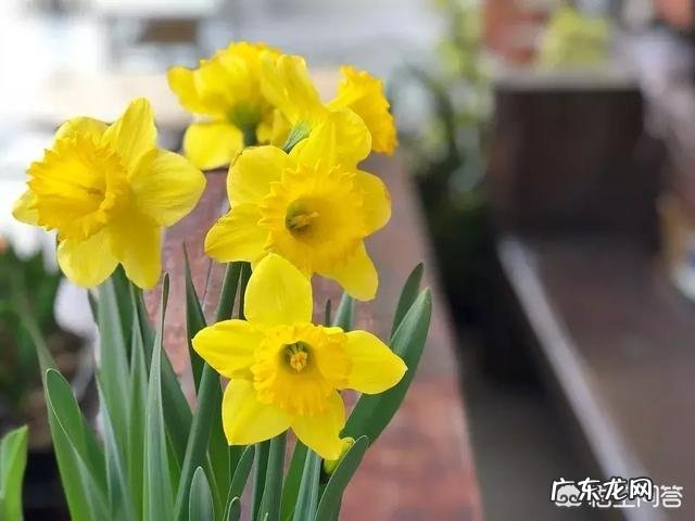 有没有一些关于人生感悟或有哲理的句子?