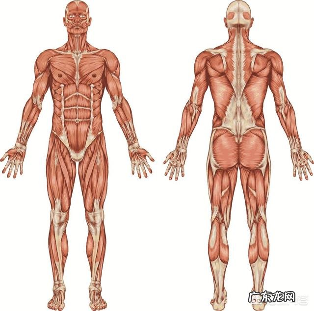 有什么办法能让男生的腿瘦下来？