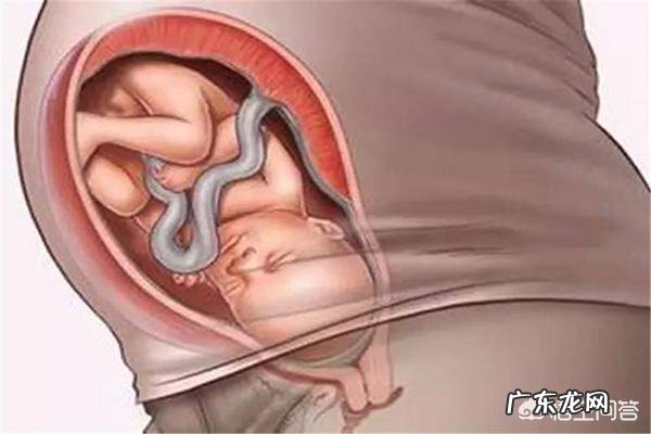 怀孕快三个月时会感觉到肚子里的宝宝在动,是胎动吗?