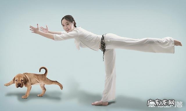 春天减肥有哪些运动值得推荐？