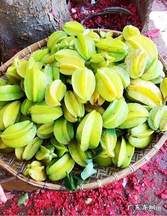 广东人早餐一般吃什么?