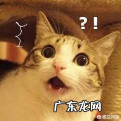 宝宝夏天外出怎么防蚊子？