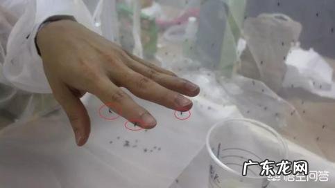 宝宝夏天外出怎么防蚊子?