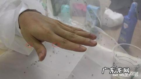 宝宝夏天外出怎么防蚊子?