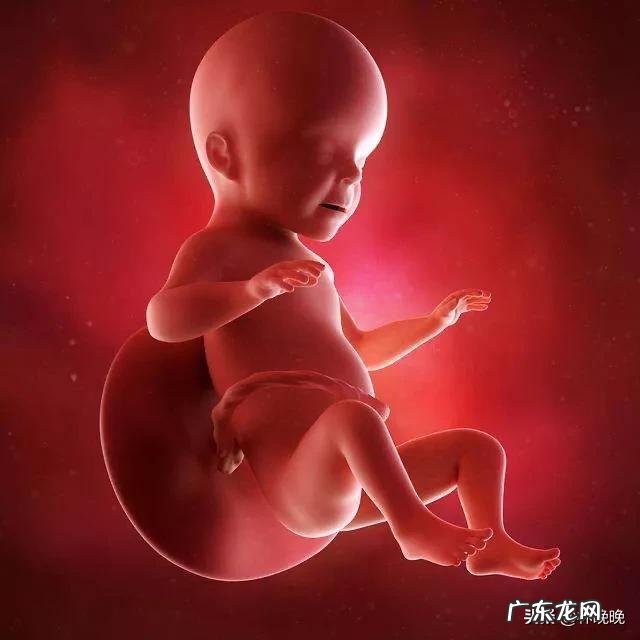 怀孕26周应该注意什么?