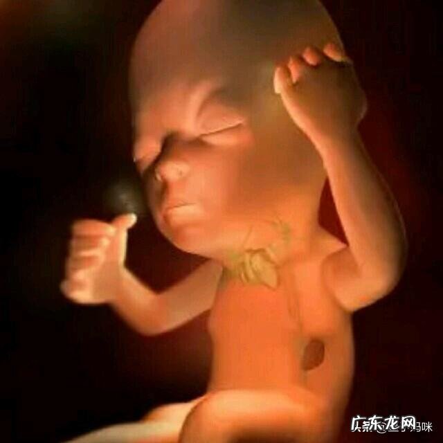 怀孕26周应该注意什么?