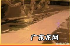 看了今年315晚会曝光的企业,你有什么想说的吗?