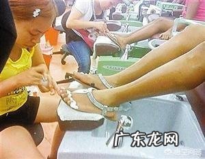 凤姐在美国做什么工作?