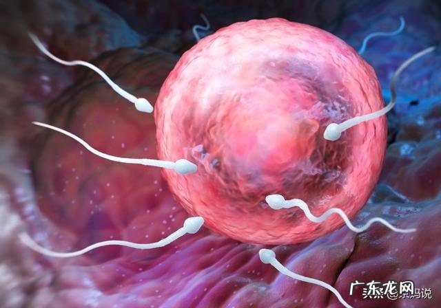 怎么测排卵?排卵的时候会有什么症状吗?