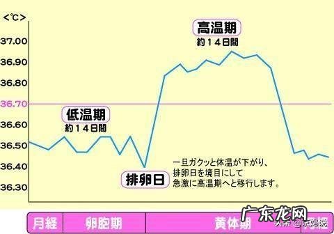 怎么测排卵?排卵的时候会有什么症状吗?