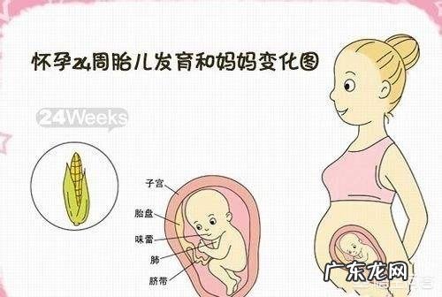 怀孕六个月的孕妇需要注意什么问题？