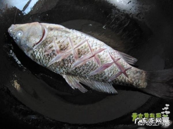 如何将鲫鱼豆腐汤做得更加鲜美?