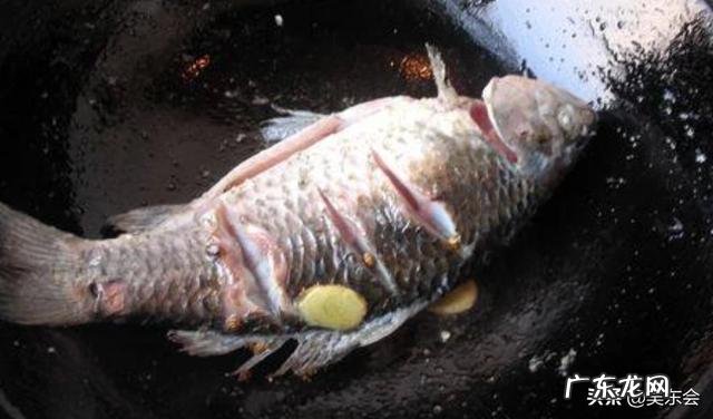 如何将鲫鱼豆腐汤做得更加鲜美？