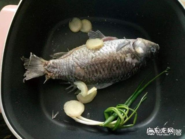 如何将鲫鱼豆腐汤做得更加鲜美?