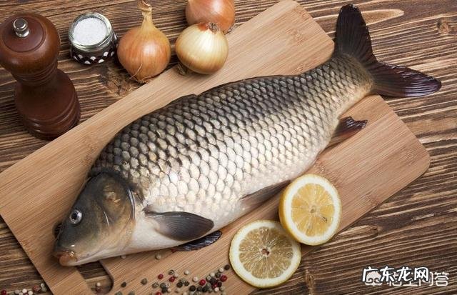 如何将鲫鱼豆腐汤做得更加鲜美?