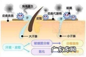 用什么简单的方法去狐臭?