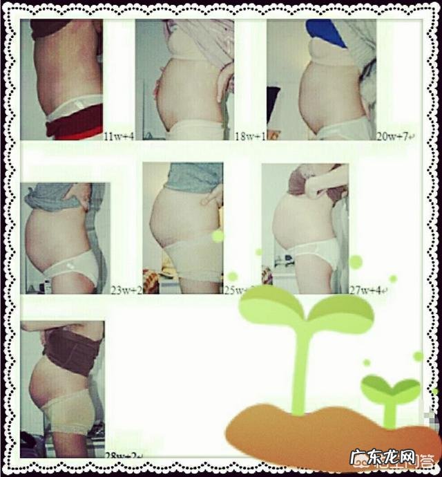 女性怀孕以后,肚子的形状会有些什么变化呢?