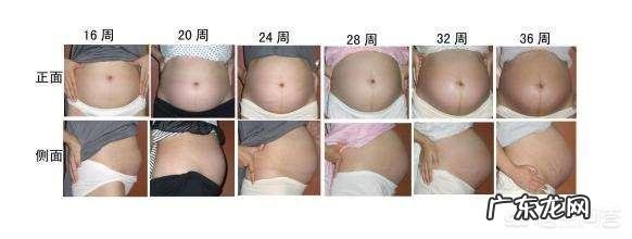女性怀孕以后,肚子的形状会有些什么变化呢?