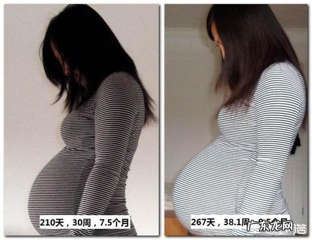 女性怀孕以后,肚子的形状会有些什么变化呢?