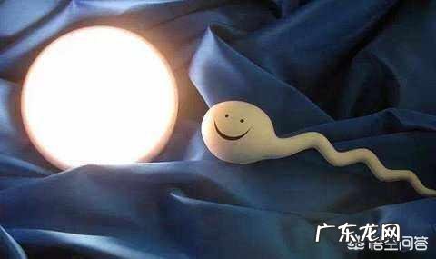 怀孕前男人要做哪些准备？