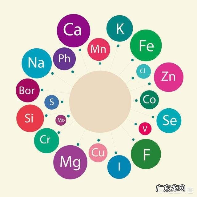 怀孕前男人要做哪些准备?