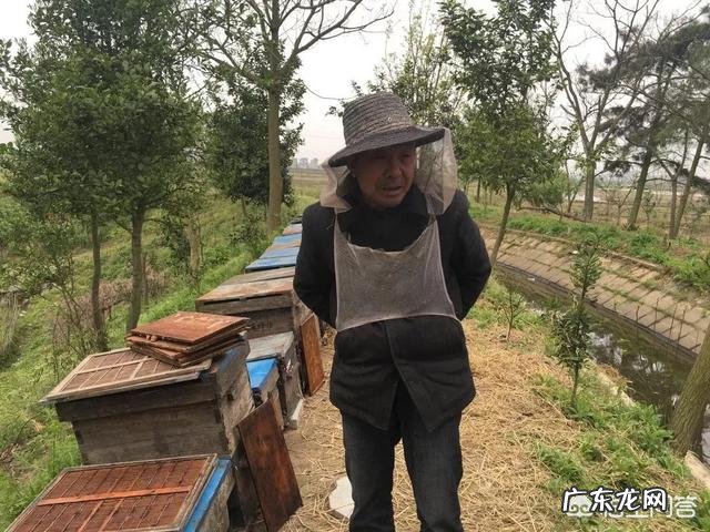 每天喝杯蜂蜜水对身体有哪些好处?