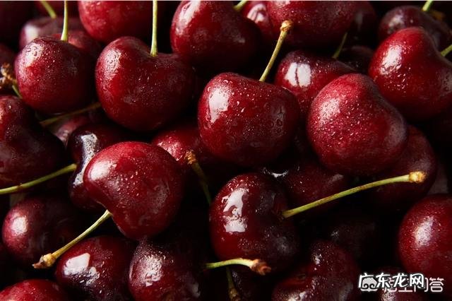 孕妇可以吃车厘子吗?