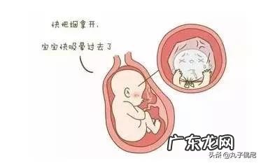 怀孕2个月,如何补充营养素?