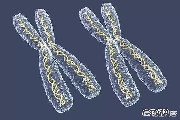 生男生女真的有秘诀吗?这些属于封建迷信吗?