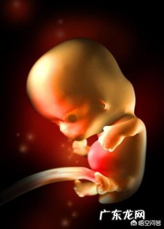 怀孕二个月,宝宝一般在肚子的什么位置?