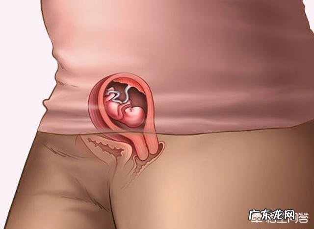 怀孕二个月,宝宝一般在肚子的什么位置?